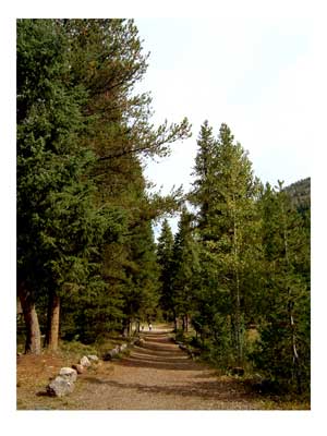Camp fire trail